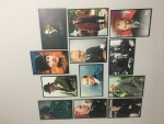 Commenter Avatar