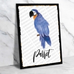 Parrot Ahşap Retro Vintage Poster 