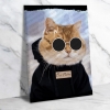 Cat Potter Ahşap Retro Vintage Poster 