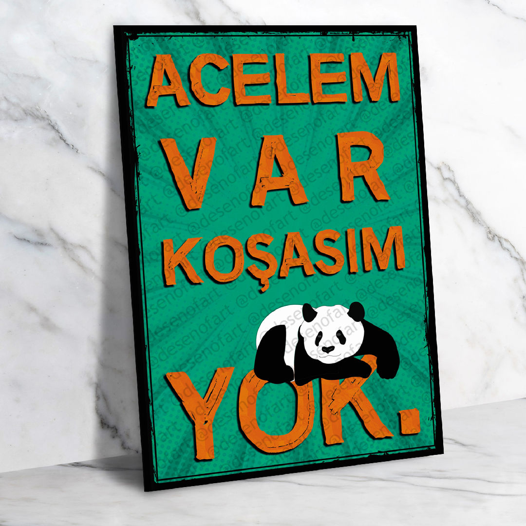 Acelem var Koşasım Yok